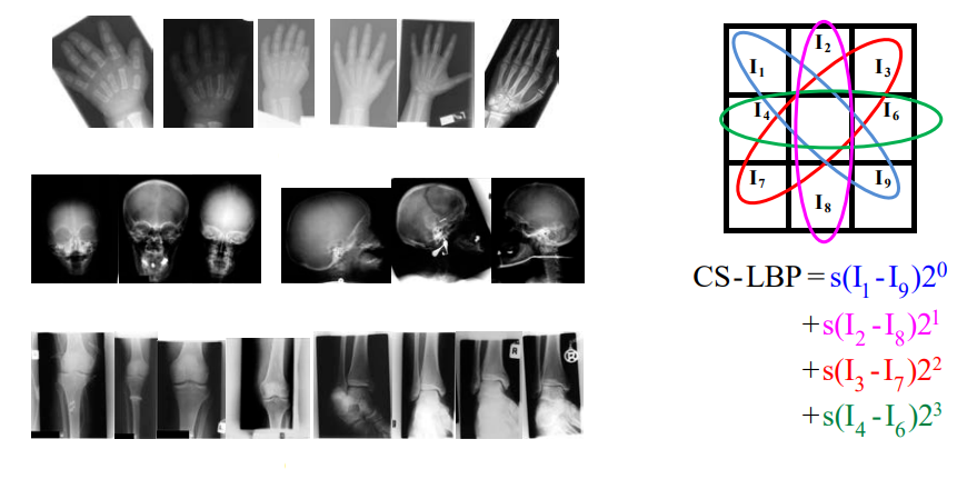 Research Project 3 Figure